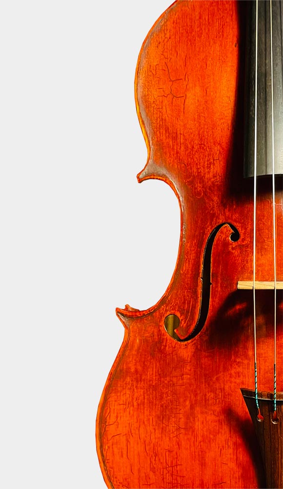 VIOLA