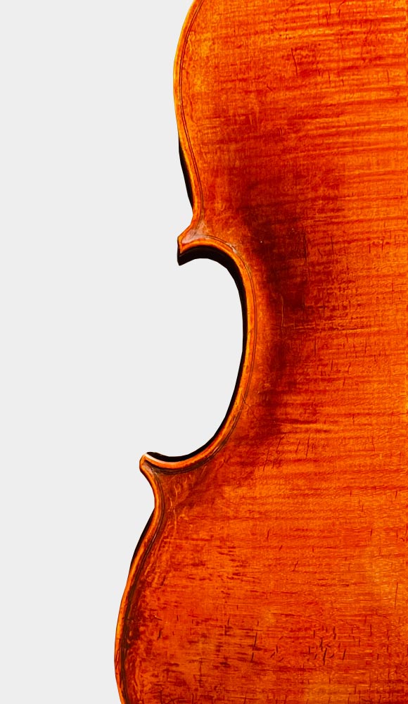 VIOLA