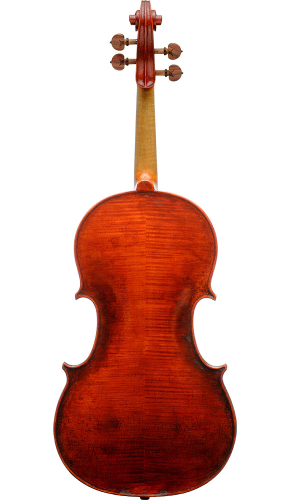 VIOLA